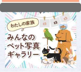 投稿ペット写真ギャラリー