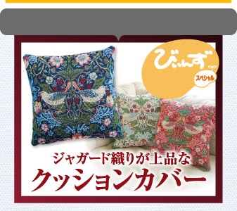 おすすめカタログ